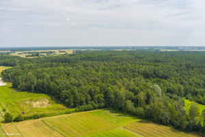 Działka na sprzedaż 5500m2 dąbrowski Radgoszcz - zdjęcie 1