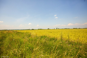 Działka na sprzedaż 4400m2 brzeski Szczurowa - zdjęcie 2