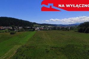 Działka na sprzedaż 3723m2 nowotarski Łapsze Niżne Niedzica - zdjęcie 1