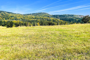 Działka na sprzedaż 1200m2 tarnowski Szerzyny Żurowa - zdjęcie 2