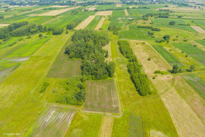 Działka na sprzedaż 9800m2 brzeski Szczurowa - zdjęcie 2