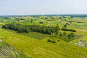 Działka na sprzedaż 9800m2 brzeski Szczurowa - zdjęcie 3