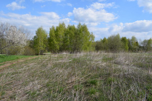 Działka na sprzedaż 2000m2 rzeszowski Chmielnik - zdjęcie 1