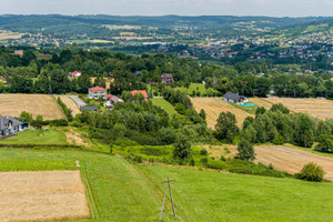 Działka na sprzedaż 2800m2 tarnowski Tuchów - zdjęcie 1