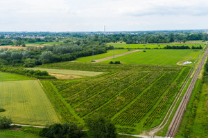 Działka na sprzedaż 35900m2 tarnowski Tarnów Tarnowiec - zdjęcie 2