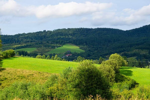 Działka na sprzedaż nowosądecki Krynica-Zdrój - zdjęcie 1