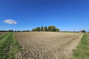 Działka na sprzedaż 3300m2 gorlicki Moszczenica Widokowa  - zdjęcie 1