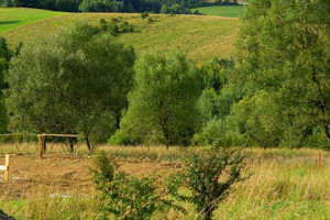 Działka na sprzedaż nowosądecki Krynica-Zdrój Zawodzie - zdjęcie 3