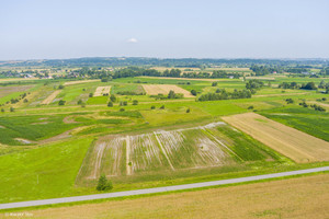 Działka na sprzedaż 3600m2 brzeski Szczurowa Kwików - zdjęcie 3