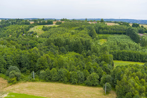 Działka na sprzedaż 5600m2 tarnowski Tuchów Buchcice - zdjęcie 3