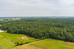 Działka na sprzedaż 13600m2 dąbrowski Radgoszcz - zdjęcie 2