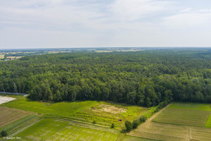 Działka na sprzedaż 13600m2 dąbrowski Radgoszcz - zdjęcie 3