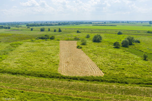 Działka na sprzedaż 2400m2 brzeski Szczurowa - zdjęcie 1