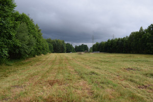 Działka na sprzedaż 3933m2 rzeszowski Głogów Małopolski Budy Głogowskie - zdjęcie 1