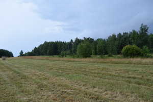 Działka na sprzedaż 3933m2 rzeszowski Głogów Małopolski Budy Głogowskie - zdjęcie 3