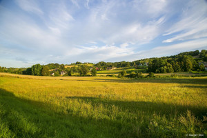 Działka na sprzedaż 2300m2 tarnowski Gromnik Siemiechów - zdjęcie 3