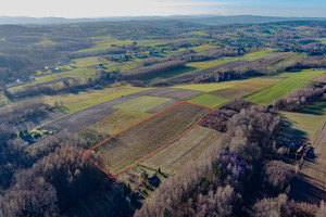 Działka na sprzedaż 11800m2 tarnowski Ryglice Zalasowa - zdjęcie 1