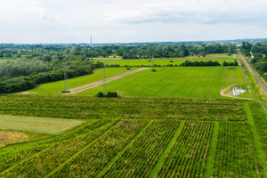 Działka na sprzedaż 35900m2 tarnowski Tarnów Tarnowiec - zdjęcie 3