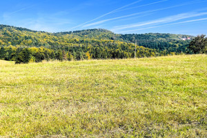 Działka na sprzedaż 1200m2 tarnowski Szerzyny Żurowa - zdjęcie 2