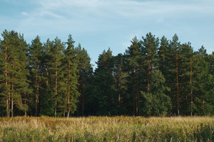 Działka na sprzedaż 7700m2 wadowicki Stryszów Łękawica - zdjęcie 1