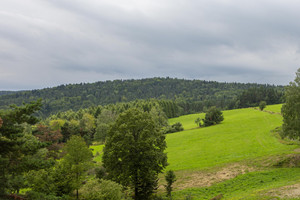 Działka na sprzedaż 3000m2 leski Baligród Kiełczawa - zdjęcie 1