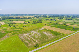 Działka na sprzedaż 3600m2 brzeski Szczurowa Kwików - zdjęcie 2