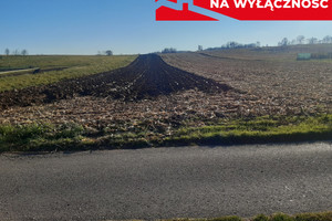 Działka na sprzedaż 2900m2 tarnowski Wojnicz Świętej Kingi - zdjęcie 1