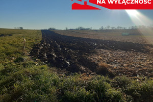 Działka na sprzedaż 2900m2 tarnowski Wojnicz Świętej Kingi - zdjęcie 2