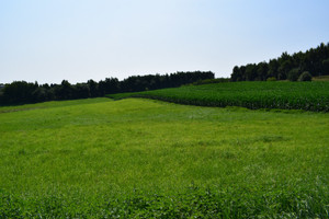 Działka na sprzedaż 4300m2 rzeszowski Boguchwała Racławówka - zdjęcie 2