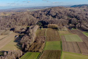 Działka na sprzedaż 3100m2 tarnowski Ryglice Zalasowa - zdjęcie 2