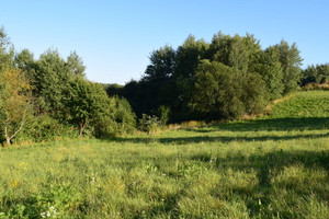 Działka na sprzedaż 1000m2 rzeszowski Tyczyn - zdjęcie 3