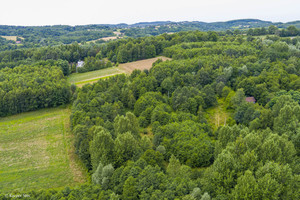 Działka na sprzedaż 11482m2 tarnowski Tuchów Buchcice - zdjęcie 1