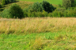 Działka na sprzedaż nowosądecki Krynica-Zdrój Zawodzie - zdjęcie 2