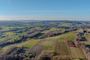 Działka na sprzedaż 9100m2 tarnowski Ryglice Zalasowa - zdjęcie 1