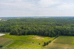 Działka na sprzedaż 5500m2 dąbrowski Radgoszcz - zdjęcie 3