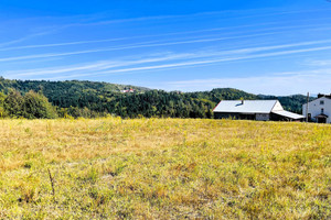 Działka na sprzedaż 1800m2 tarnowski Szerzyny Żurowa - zdjęcie 3