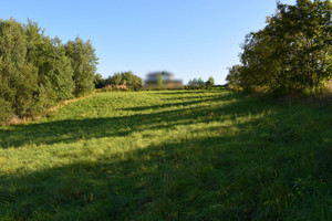 Działka na sprzedaż 1000m2 rzeszowski Tyczyn - zdjęcie 2