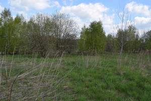 Działka na sprzedaż 2800m2 rzeszowski Chmielnik - zdjęcie 1