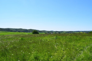 Działka na sprzedaż 8600m2 ropczycko-sędziszowski Wielopole Skrzyńskie Brzeziny - zdjęcie 3