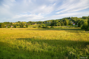 Działka na sprzedaż 2300m2 tarnowski Gromnik Siemiechów - zdjęcie 2