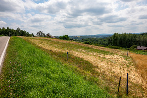 Działka na sprzedaż 3000m2 tarnowski Ryglice - zdjęcie 1