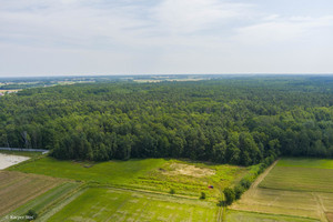 Działka na sprzedaż 6300m2 dąbrowski Szczucin Borki - zdjęcie 1