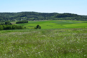 Działka na sprzedaż 8600m2 ropczycko-sędziszowski Wielopole Skrzyńskie Brzeziny - zdjęcie 2