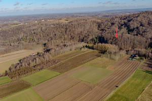 Działka na sprzedaż 3100m2 tarnowski Ryglice Zalasowa - zdjęcie 1