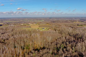 Działka na sprzedaż 3100m2 tarnowski Ryglice Zalasowa - zdjęcie 3