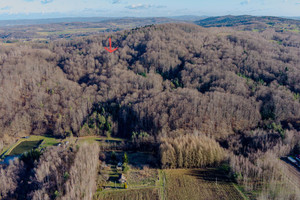 Działka na sprzedaż 2800m2 tarnowski Ryglice Zalasowa - zdjęcie 1