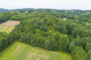 Działka na sprzedaż 5600m2 tarnowski Tuchów Buchcice - zdjęcie 1