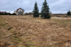 Działka na sprzedaż 2700m2 kielecki Morawica Radomice - zdjęcie 1