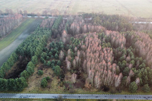 Działka na sprzedaż 6300m2 częstochowski Kłomnice Rzeki Małe - zdjęcie 3