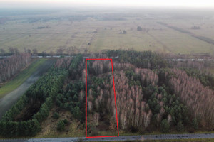 Działka na sprzedaż 6300m2 częstochowski Kłomnice Rzeki Małe - zdjęcie 1